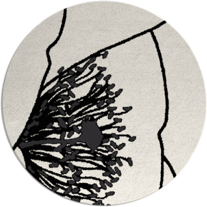 i spy rug - item 611888