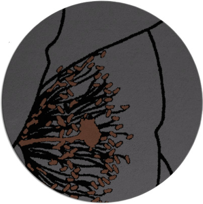 i spy rug - item 611892