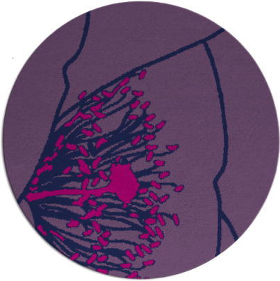 i spy rug - item 611911