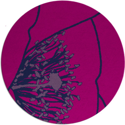 i spy rug - item 611912