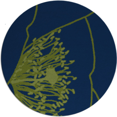 i spy rug - item 611917