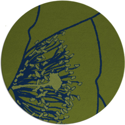 i spy rug - item 611919