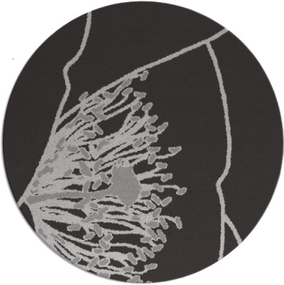 i spy rug - item 611928