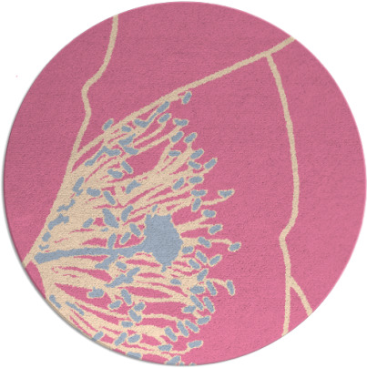 i spy rug - item 611932