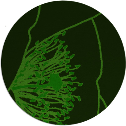 i spy rug - item 611950