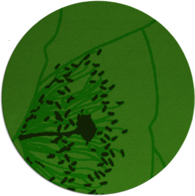 i spy rug - item 611951