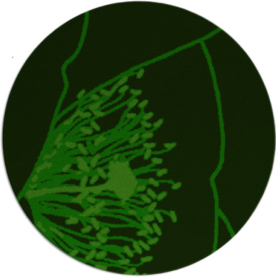 i spy rug - item 611952