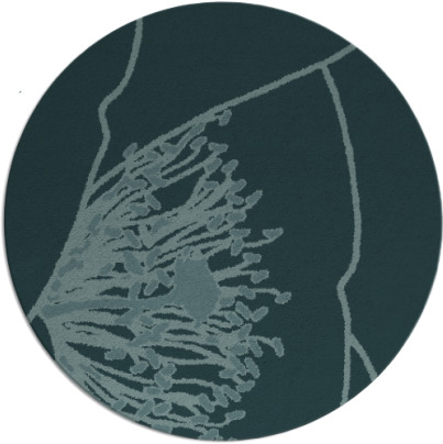 i spy rug - item 611954