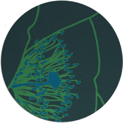 i spy rug - item 611962