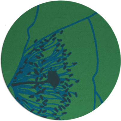 i spy rug - item 611963