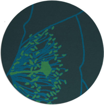 i spy rug - item 611964