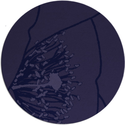 i spy rug - item 611967