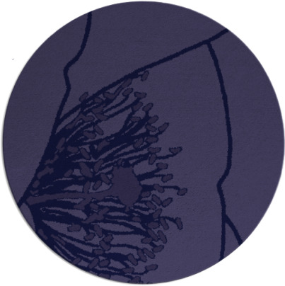 i spy rug - item 611968