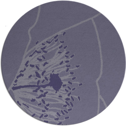 i spy rug - item 611971