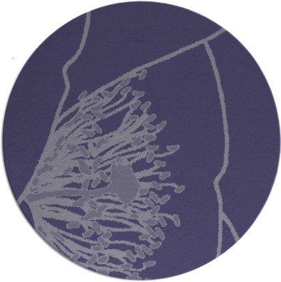 i spy rug - item 611972