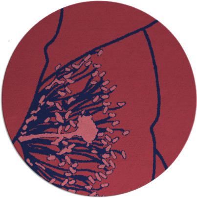 i spy rug - item 611975