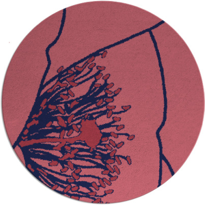 i spy rug - item 611976