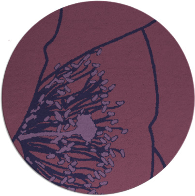 i spy rug - item 611979