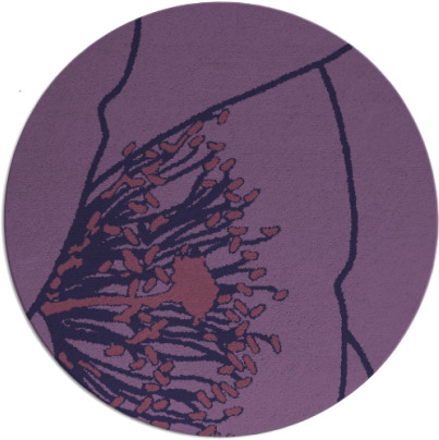 i spy rug - item 611980