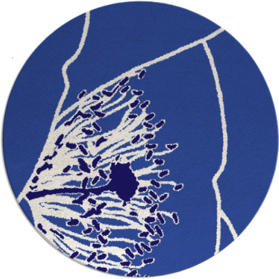 i spy rug - item 611985