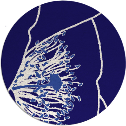 i spy rug - item 611986