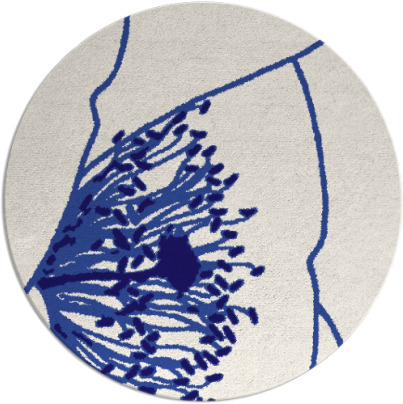 i spy rug - item 611987