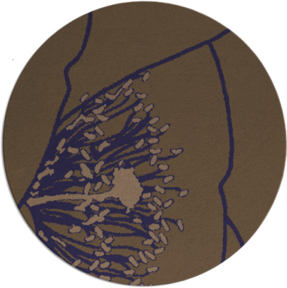 i spy rug - item 611991