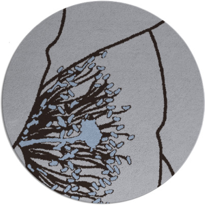 i spy rug - item 611993