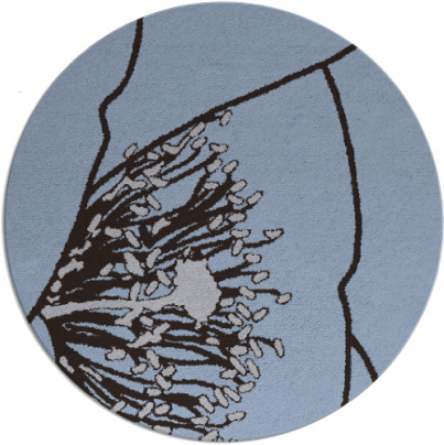 i spy rug - item 611994