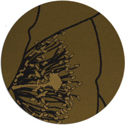 i spy rug - item 611999