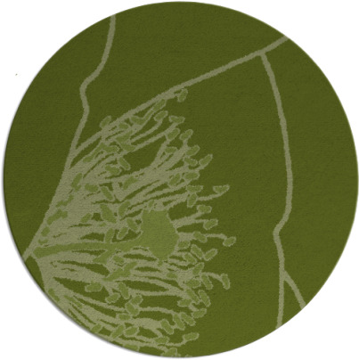 i spy rug - item 612005