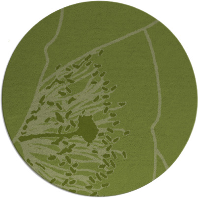 i spy rug - item 612006