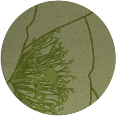 i spy rug - item 612007