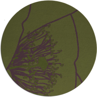 i spy rug - item 612017