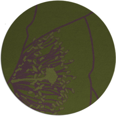 i spy rug - item 612018