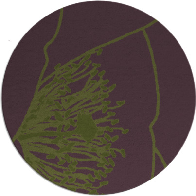 i spy rug - item 612019