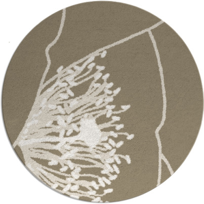 i spy rug - item 612021