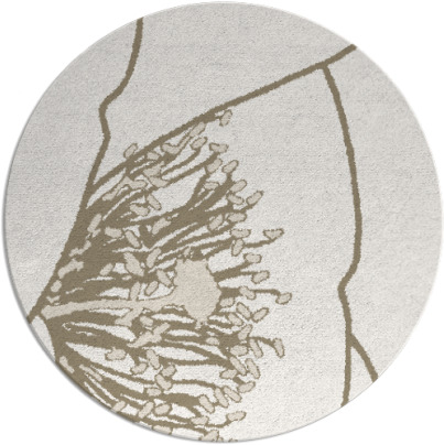 i spy rug - item 612024