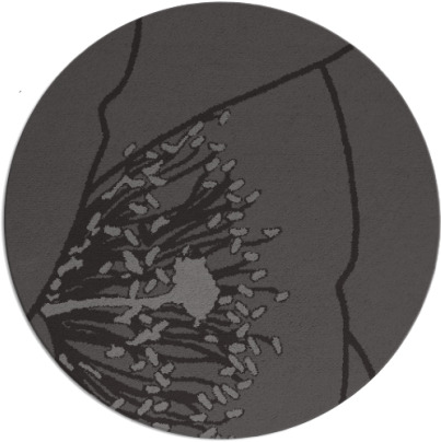 i spy rug - item 612029