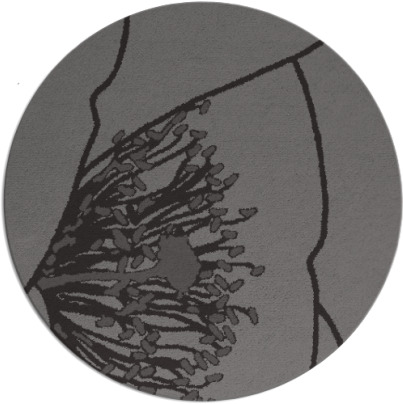 i spy rug - item 612030