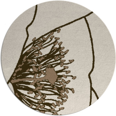 i spy rug - item 612034