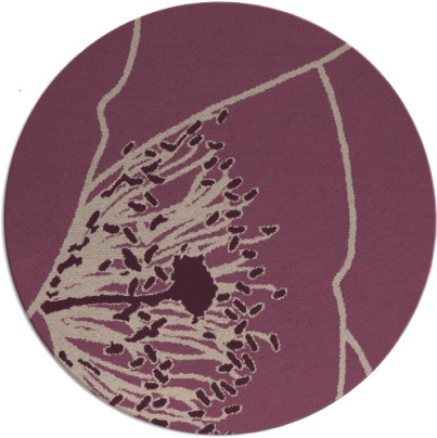 i spy rug - item 612039