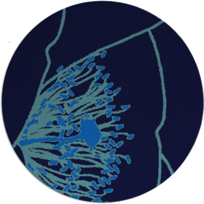 i spy rug - item 612050