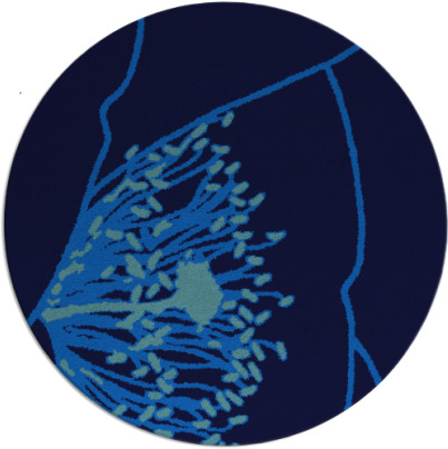 i spy rug - item 612052