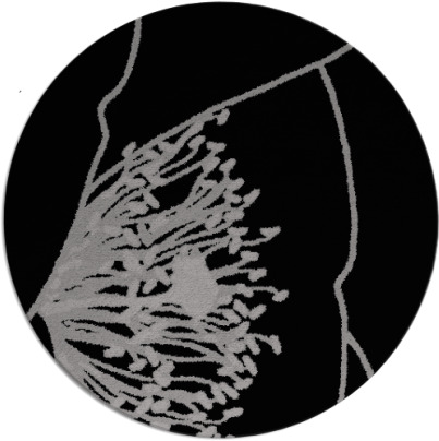 i spy rug - item 612054