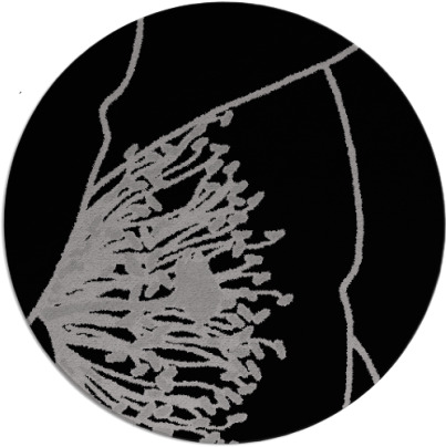 i spy rug - item 612056