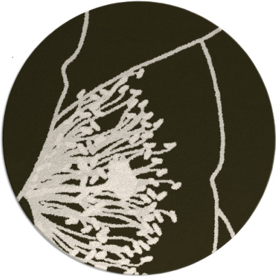 i spy rug - item 612060