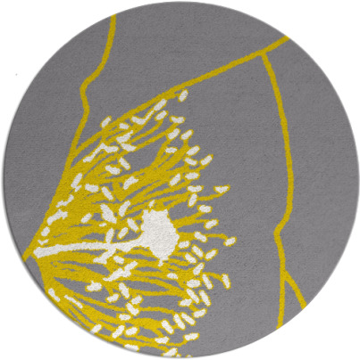 i spy rug - item 612065