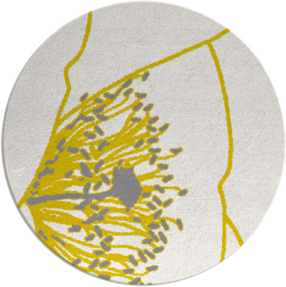 i spy rug - item 612066