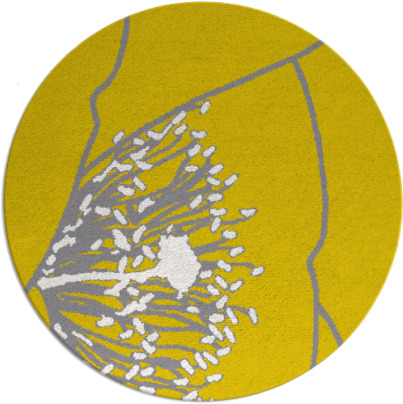 i spy rug - item 612067